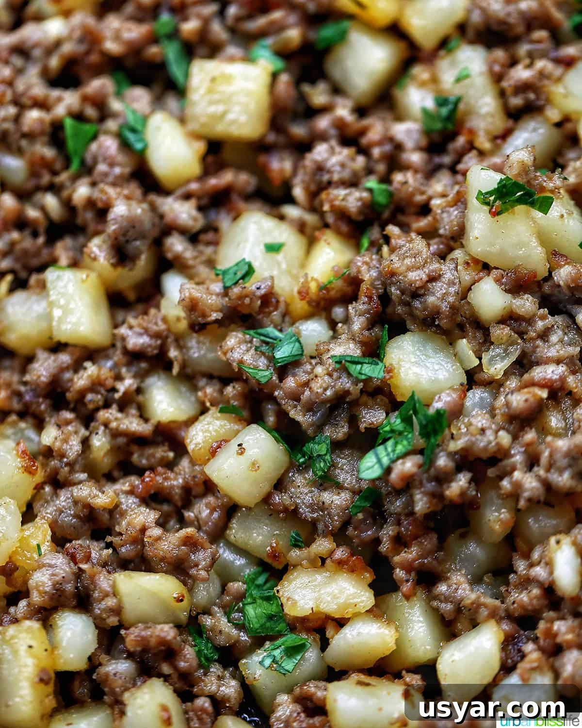 Breakfast Sausage and Potato Hash Recipe 19 Close-up of breakfast sausage potato hash