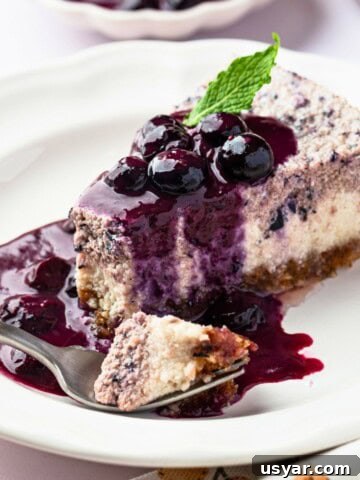 A piece of vegan blueberry cheesecake topped with blueberry sauce and blueberries.