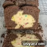 slices of chocolate funfetti hidden bunny cake