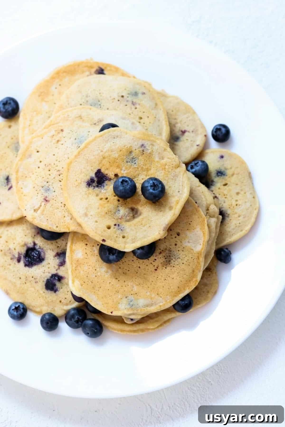 Fluffy Whole Wheat Blueberry Pancake Recipe 2 A plate of whole wheat blueberry pancakes topped with fresh blueberries.