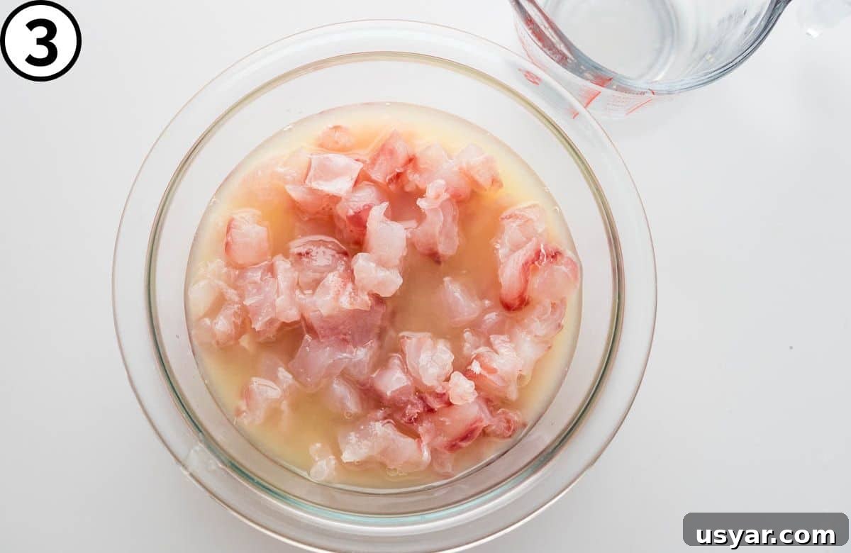 Cooking the fresh fish in citrus juices.