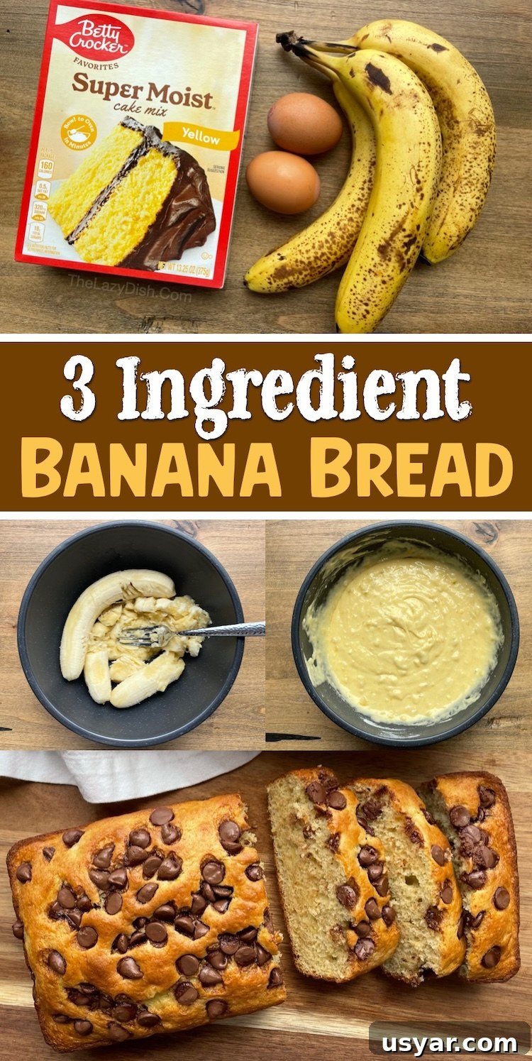 3 Ingredient Cake Mix Banana Bread Recipe 14 How to make moist and yummy banana bread with a box of cake mix! This quick and easy baking recipe is a hit with my family. My picky kids love it! We like to top this 3 ingredient banana bread with chocolate chips or nuts for added flavor or crunch. Try experimenting with different cake flavors! Yellow, white, chocolate, spice, etc. It's so simple and yet turns out impressive every time.