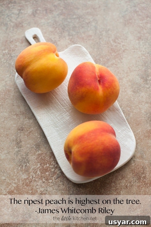 The ripest peach is highest on the tree. from thelittlekitchen.net The ripest peach is highest on the tree. from thelittlekitchen.net