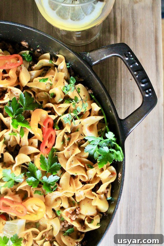 one-pot beefy noodles
