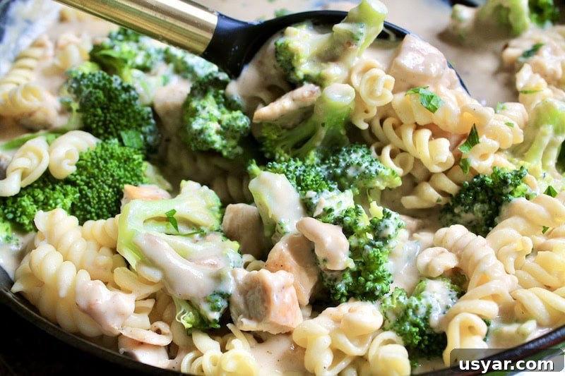 easy creamy one pot chicken broccoli pasta