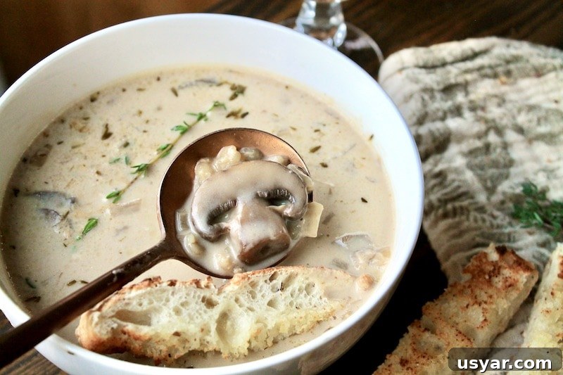 instant pot mushroom barley soup