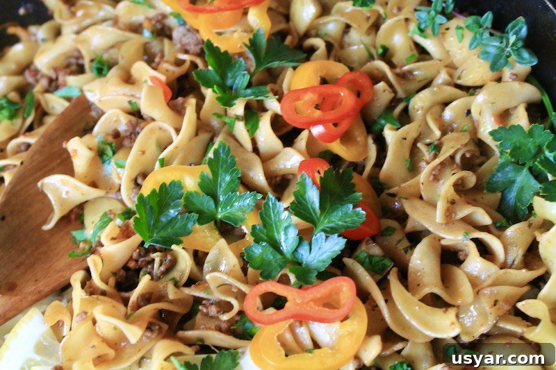 easy noodles with ground beef