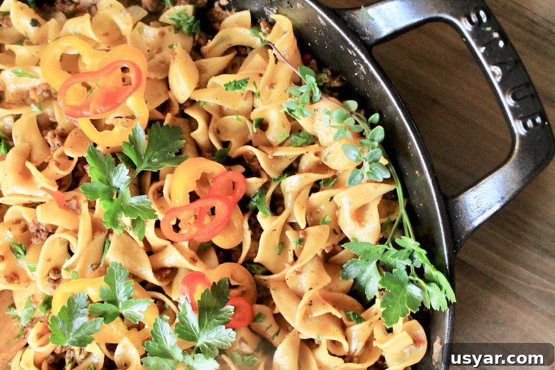 one-pot ground beef with noodles