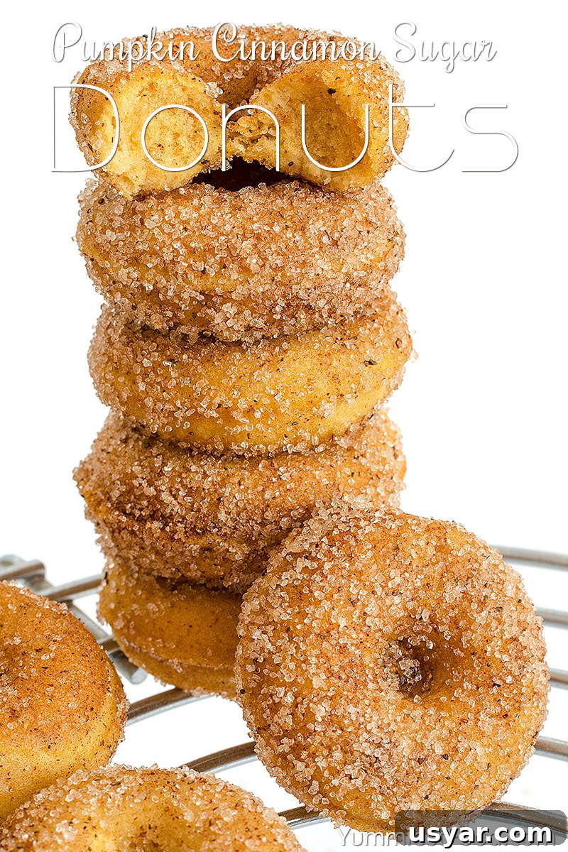 Homemade Pumpkin Cinnamon Sugar Donuts Recipe 2 Pumpkin Cinnamon Sugar Donuts