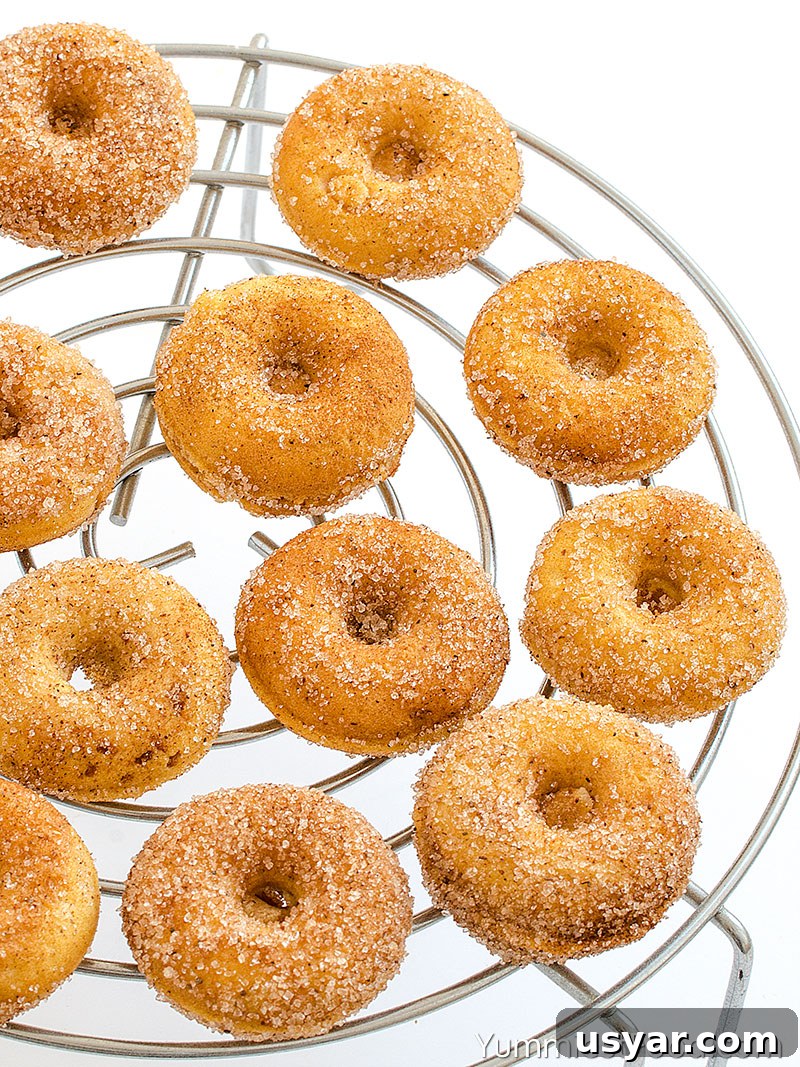 Homemade Pumpkin Cinnamon Sugar Donuts Recipe 3 Pumpkin Donuts