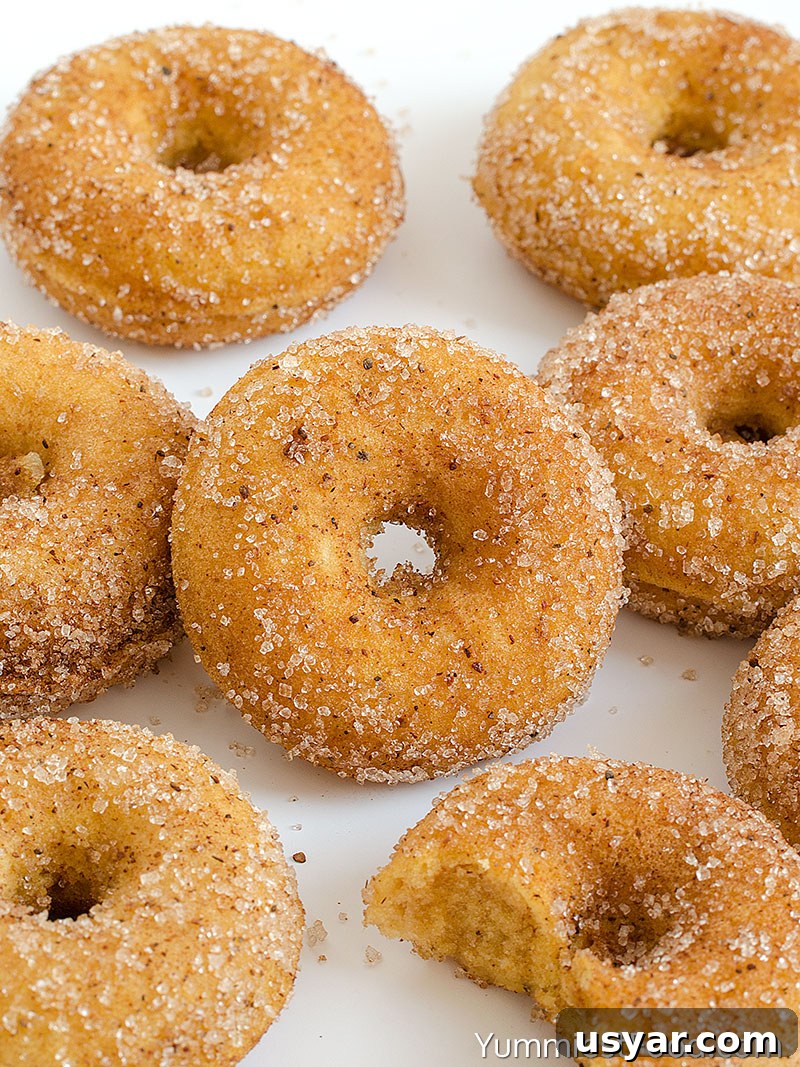 Homemade Pumpkin Cinnamon Sugar Donuts Recipe 4 Pumpkin Cinnamon Sugar Donuts - at the table
