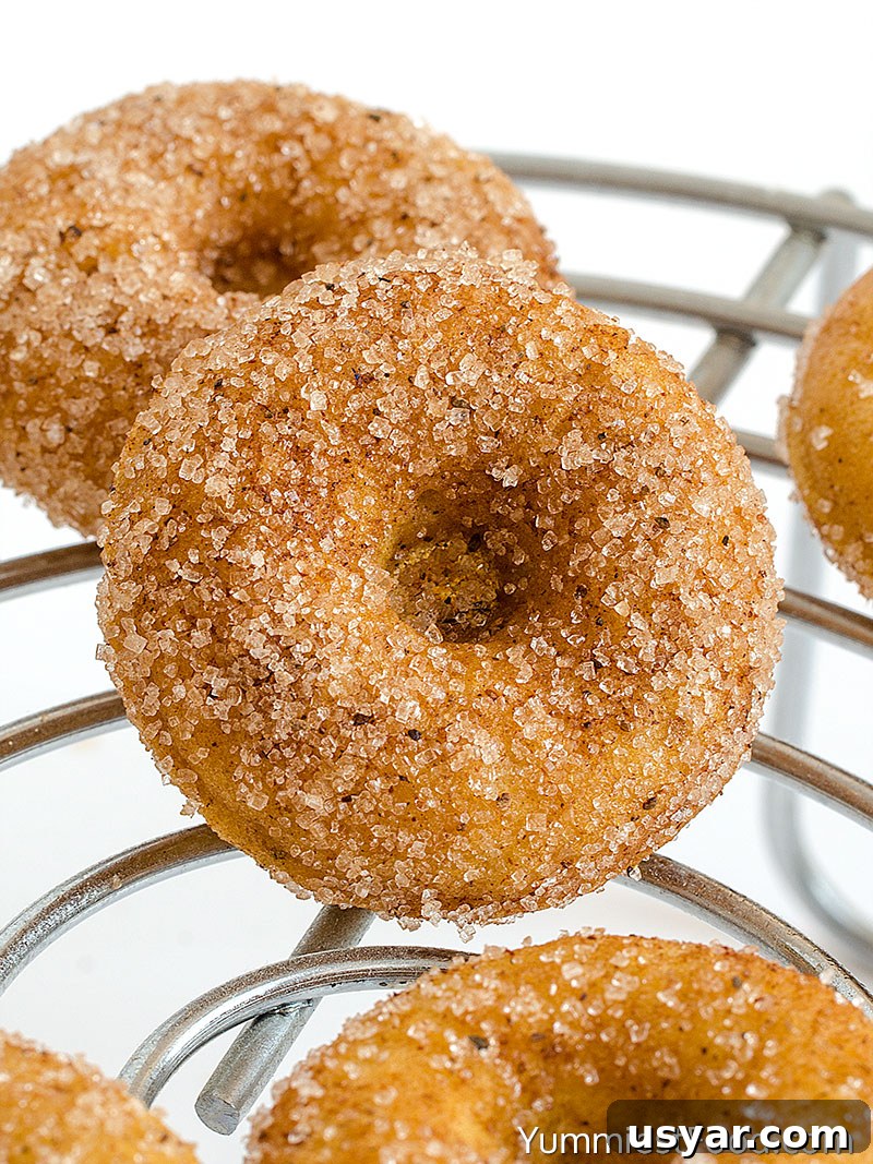 Homemade Pumpkin Cinnamon Sugar Donuts Recipe 5 Pumpkin Cinnamon Sugar Donuts
