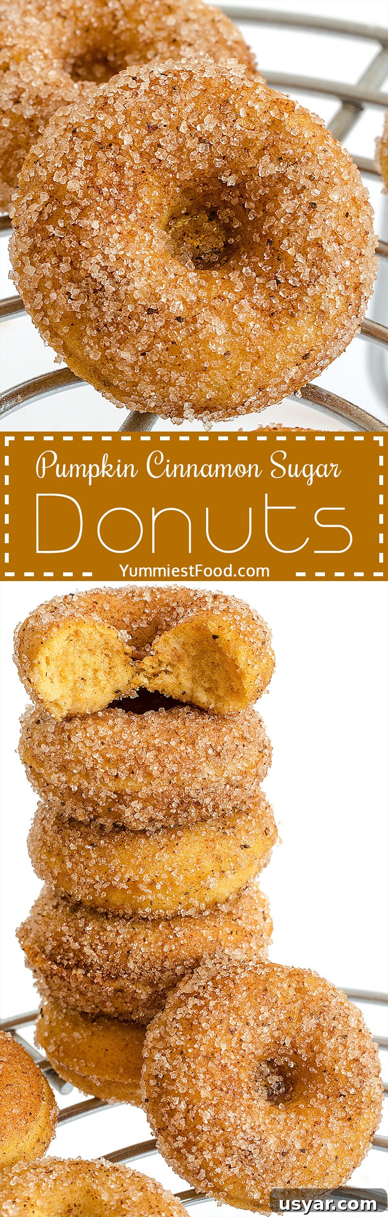 Homemade Pumpkin Cinnamon Sugar Donuts Recipe 9 Soft Pumpkin Cinnamon Sugar Donuts