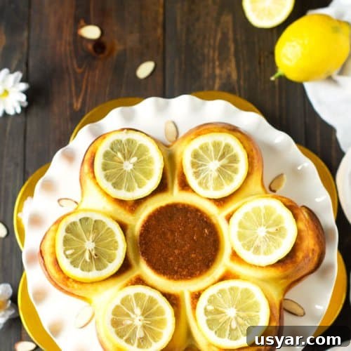 Fiadone: Corsican Lemon Cheesecake Recipe 2 Corsican Lemon Cheesecake - Fiadone