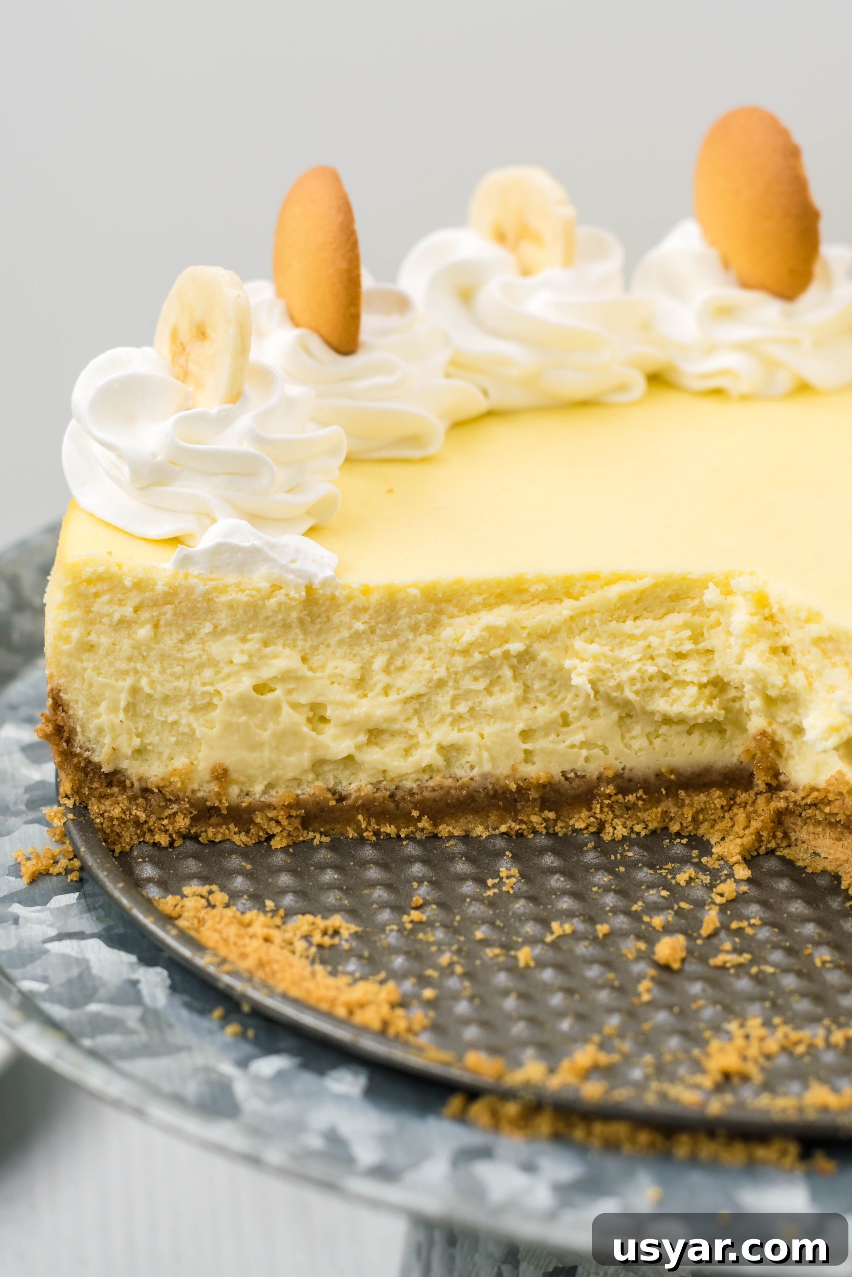 Final banana pudding cheesecake ready to serve
