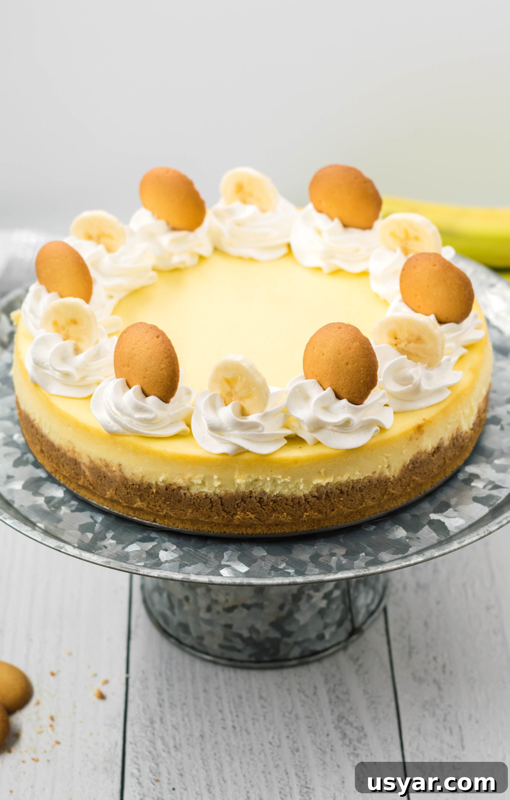 Slice of banana pudding cheesecake