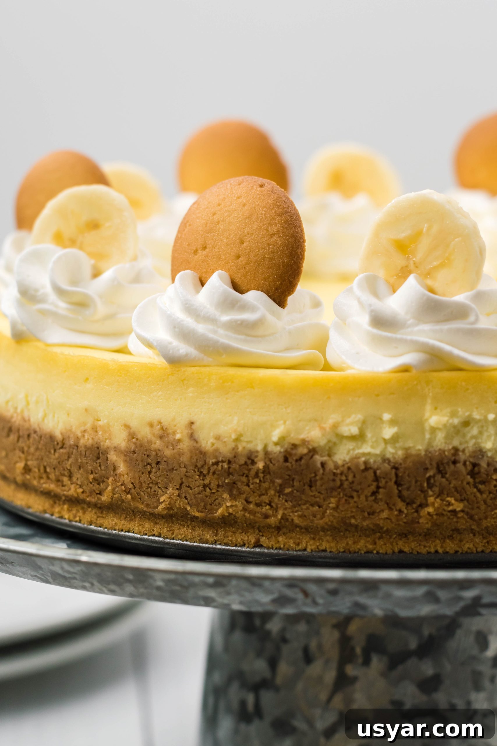 Cheesecake topped with banana slices and whipped cream