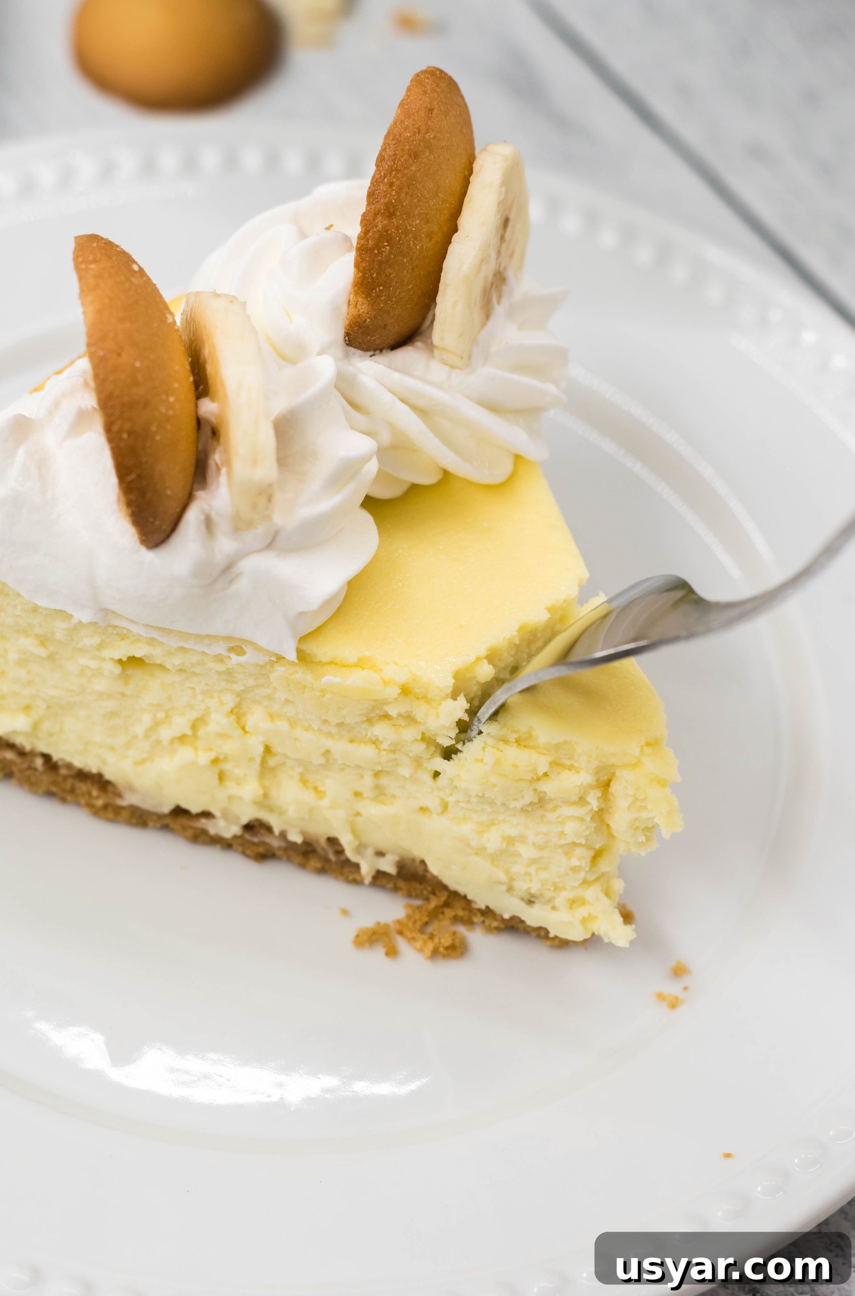 Cheesecake slice with garnish
