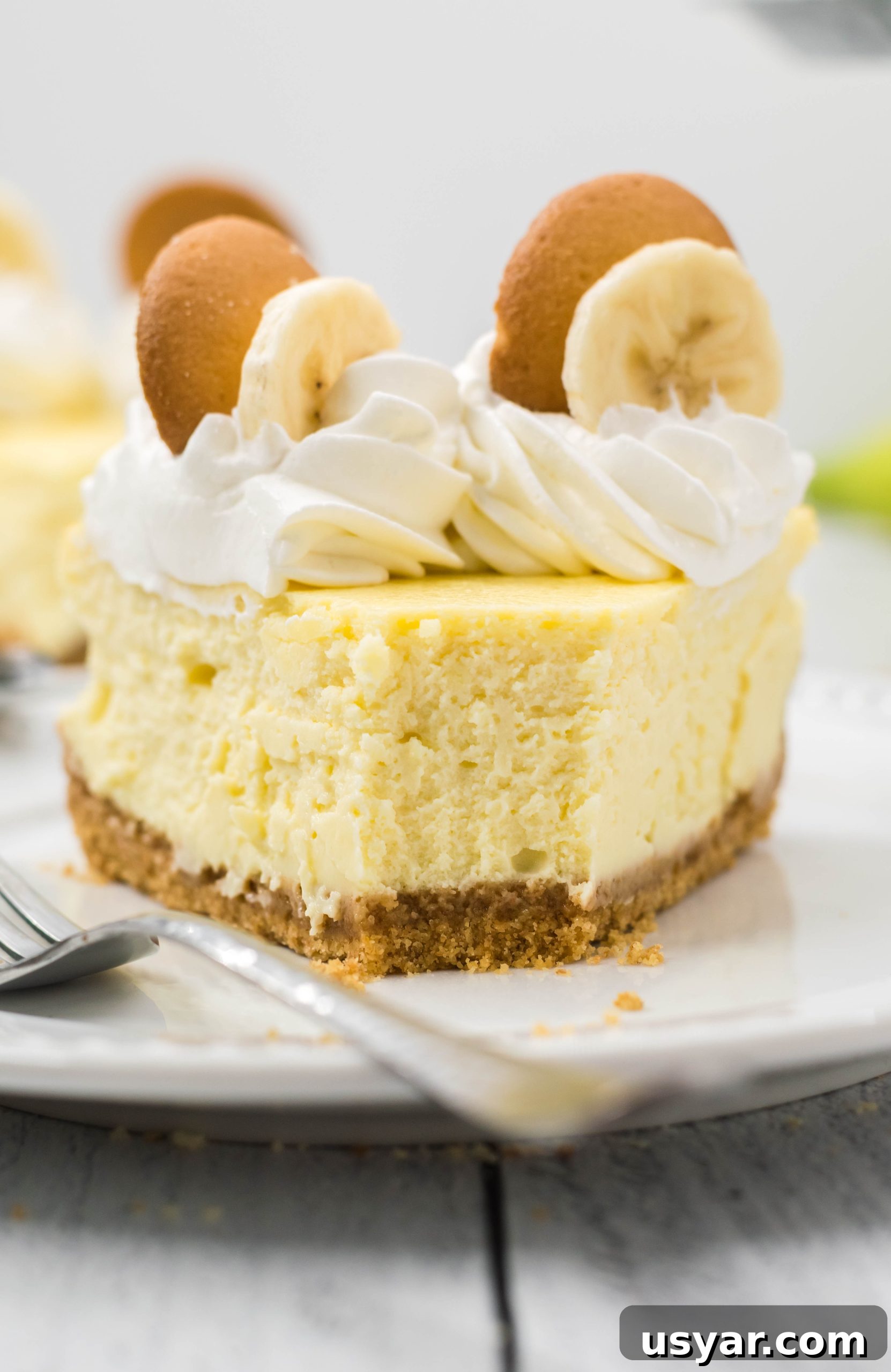 Wrapped cheesecake slices for storage