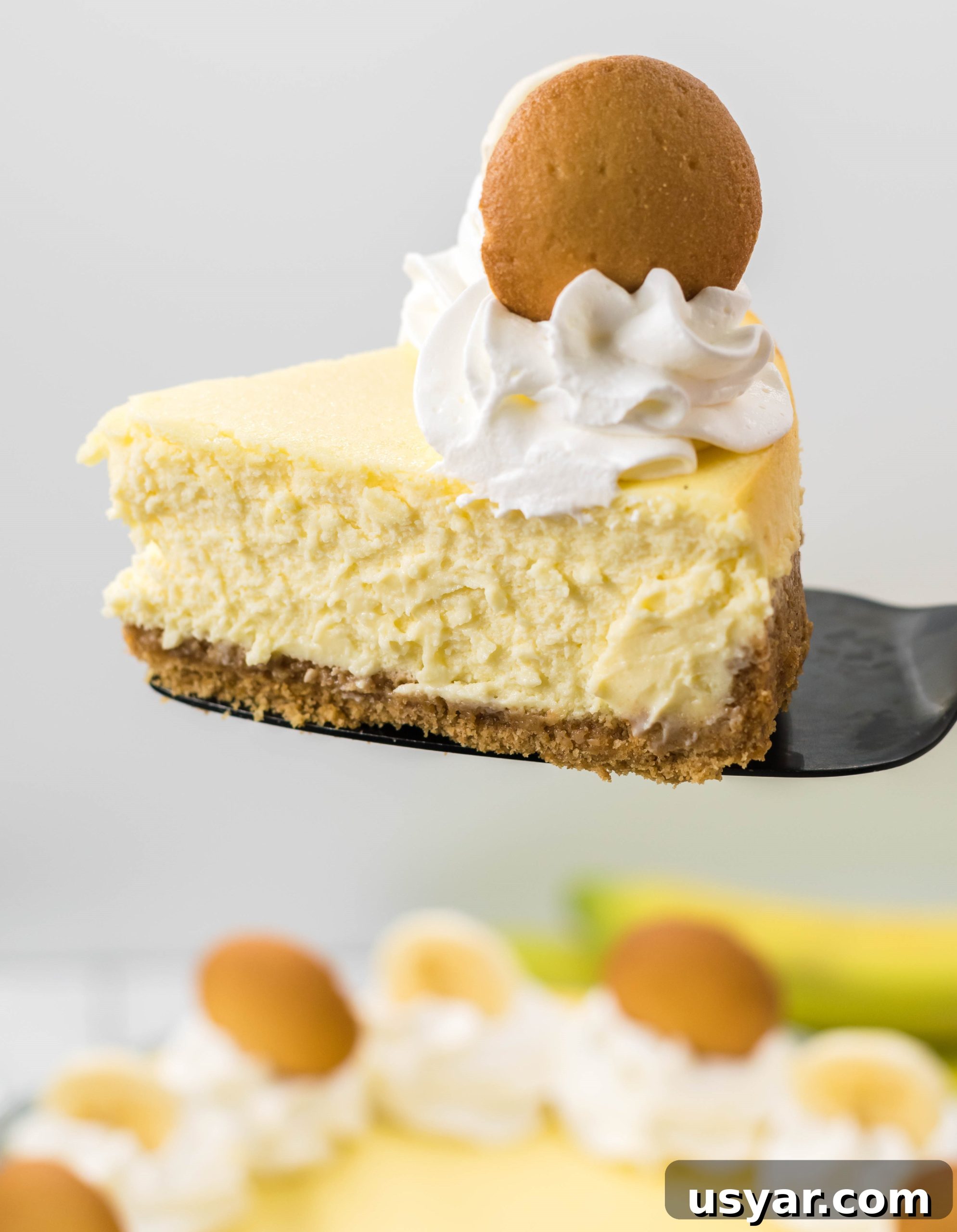 Plated cheesecake slices