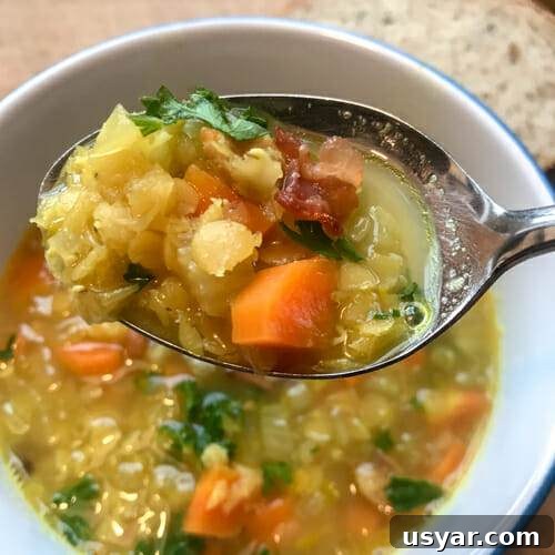 bacon lentil soup chunky