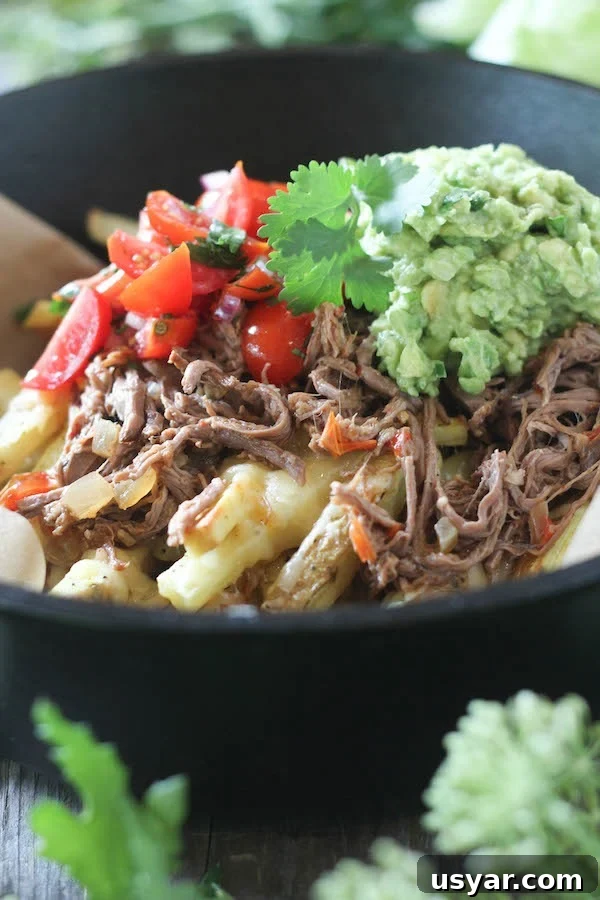 Crockpot Carne Asada Loaded Fries Recipe 2 PaleOMG Crockpot Carne Asada Loaded Fries