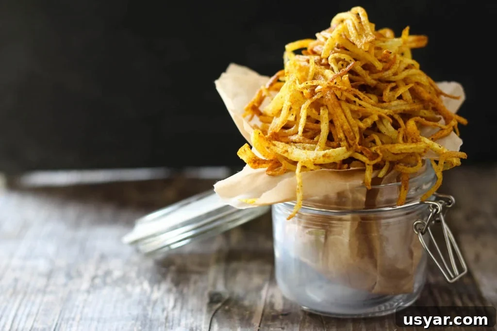 Crockpot Carne Asada Loaded Fries Recipe 3 Spicy Curry Duck Fat Shoestring Fries