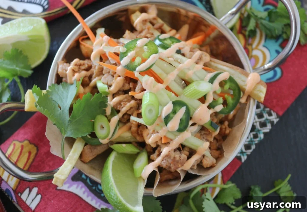 Crockpot Carne Asada Loaded Fries Recipe 4 Bahn Mi Loaded Fries