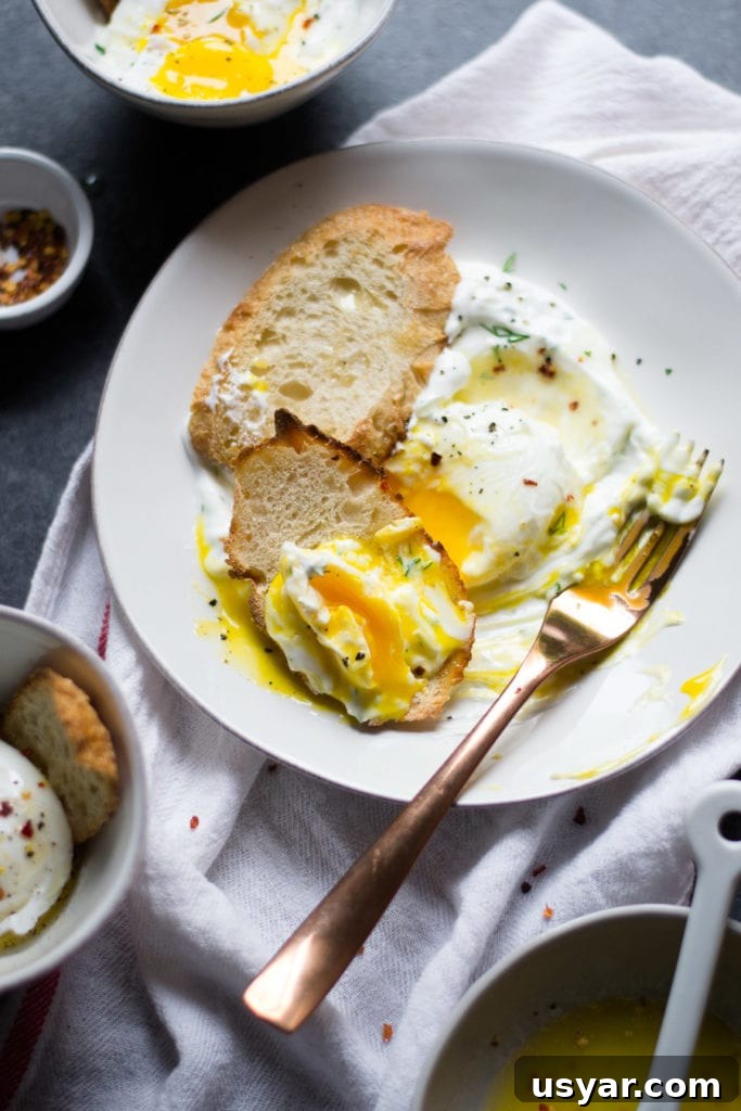 Çılbır: Turkish Poached Eggs with Garlic Dill Yogurt Recipe 3 Turkish Poached Eggs with Garlic Dill Yogurt | Sarcastic Cooking
