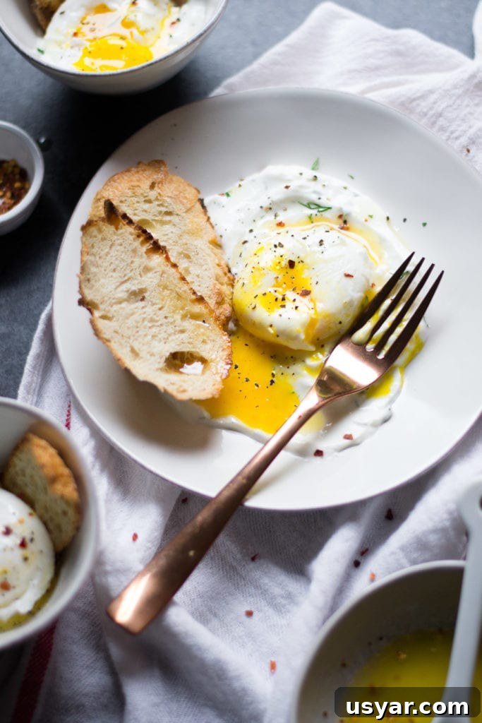 Çılbır: Turkish Poached Eggs with Garlic Dill Yogurt Recipe 6 Turkish Eggs with Garlic Dill Yogurt | Sarcastic Cooking