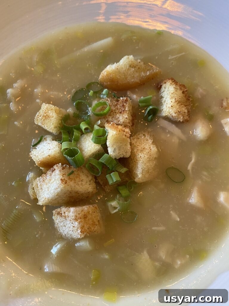 Chef Rene's at The Inn: Seasonal Cuisine in Eagle River, WI 12 A bowl of creamy leek potato soup with croutons