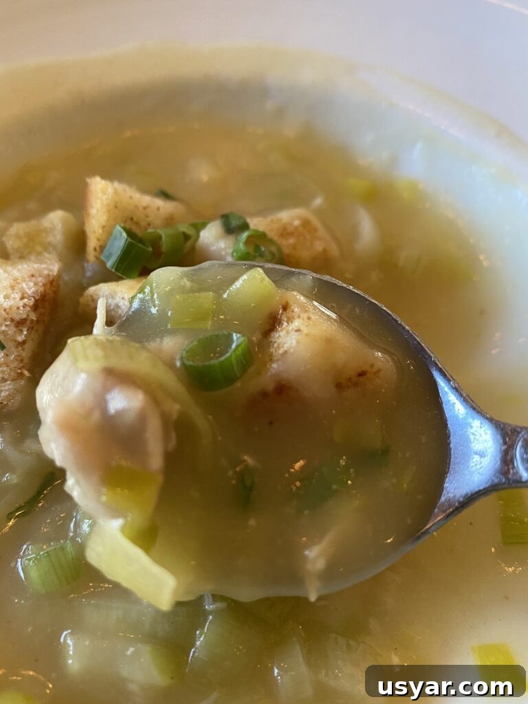 Chef Rene's at The Inn: Seasonal Cuisine in Eagle River, WI 13 A spoonful of creamy leek potato soup
