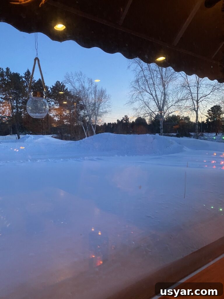 Chef Rene's at The Inn: Seasonal Cuisine in Eagle River, WI 3 A view through a window, showing a snow covered exterior