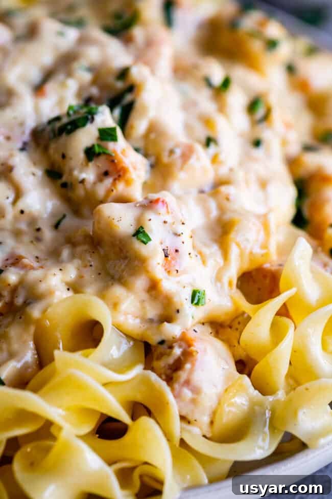 9 Slow Cooker Recipes for Halloween Dinner 14 img 12675 13