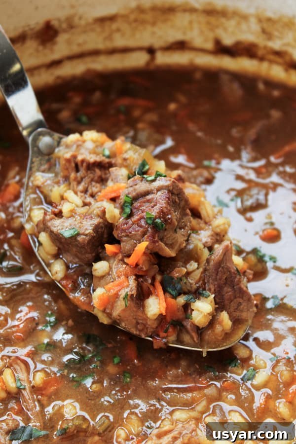 9 Slow Cooker Recipes for Halloween Dinner 5 Beef Barley Soup from TheFoodCharlatan.com
