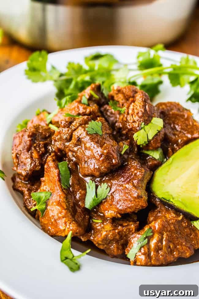 9 Slow Cooker Recipes for Halloween Dinner 7 Traditional Tejano Carne Guisada from The Food Charlatan