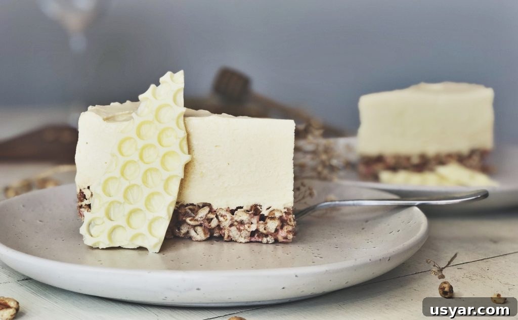 Honey Bubble Cheesecake Recipe 2 Honey bubble cheesecake with puffed honey cereal base