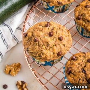 zucchini muffin with chocolate chips, cooling on a wire rack. There is a fresh zucchini on a tea towel in the background along with a couple walnuts and a chocolate chip.