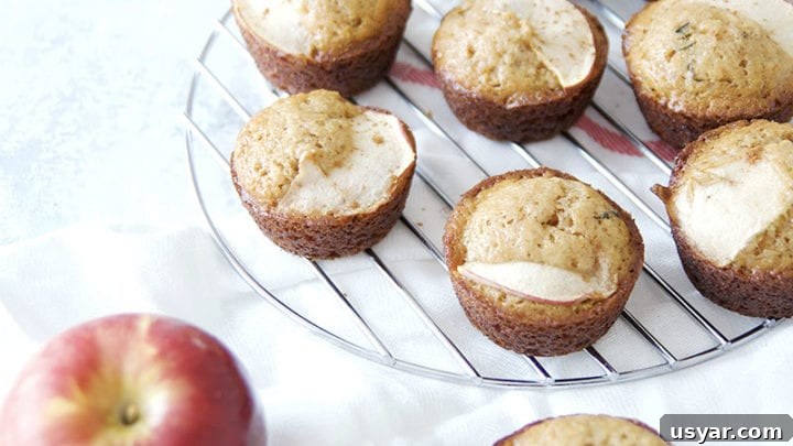 Image for Apple Brown Sugar Muffins