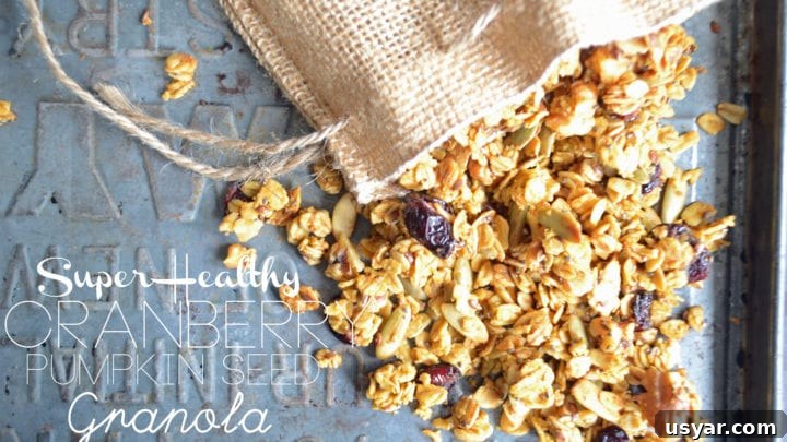 Image for Super Healthy Cranberry Pumpkin Seed Granola