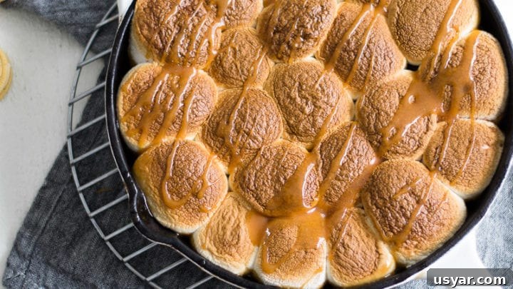 Apple Cider Caramel Smore's Dip - Sarcastic Cooking