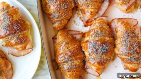 Image for Baked Ham and Cheese Croissants