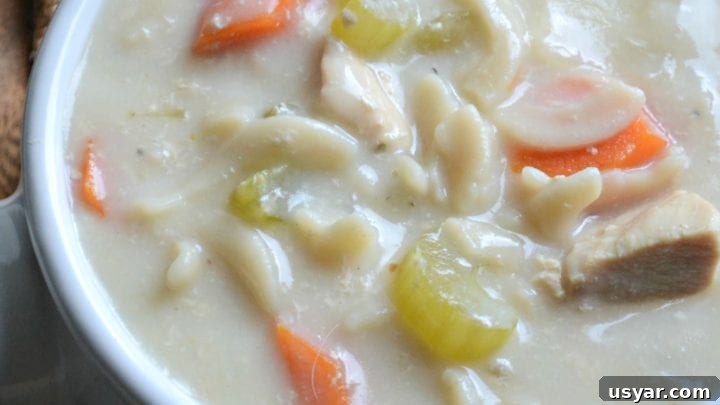 Image for Creamy Slow Cooker Chicken Noodle Soup