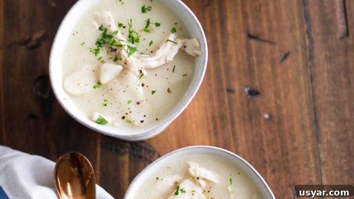 Instant Pot Chicken n Dumplins | Sarcastic Cooking