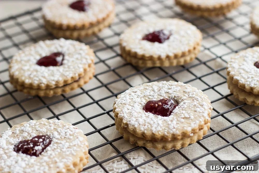 Pecan Linzer Heart Cookies