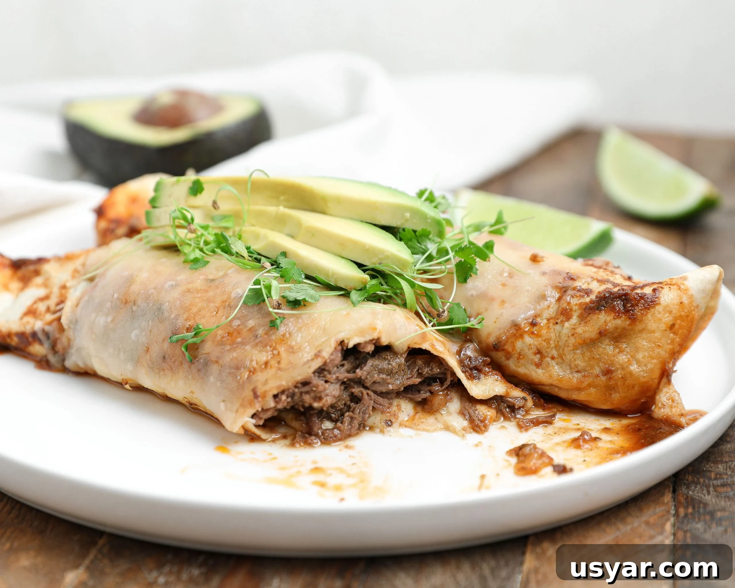 Plate of beef barbacoa enchiladas topped with avocado slices and microgreens