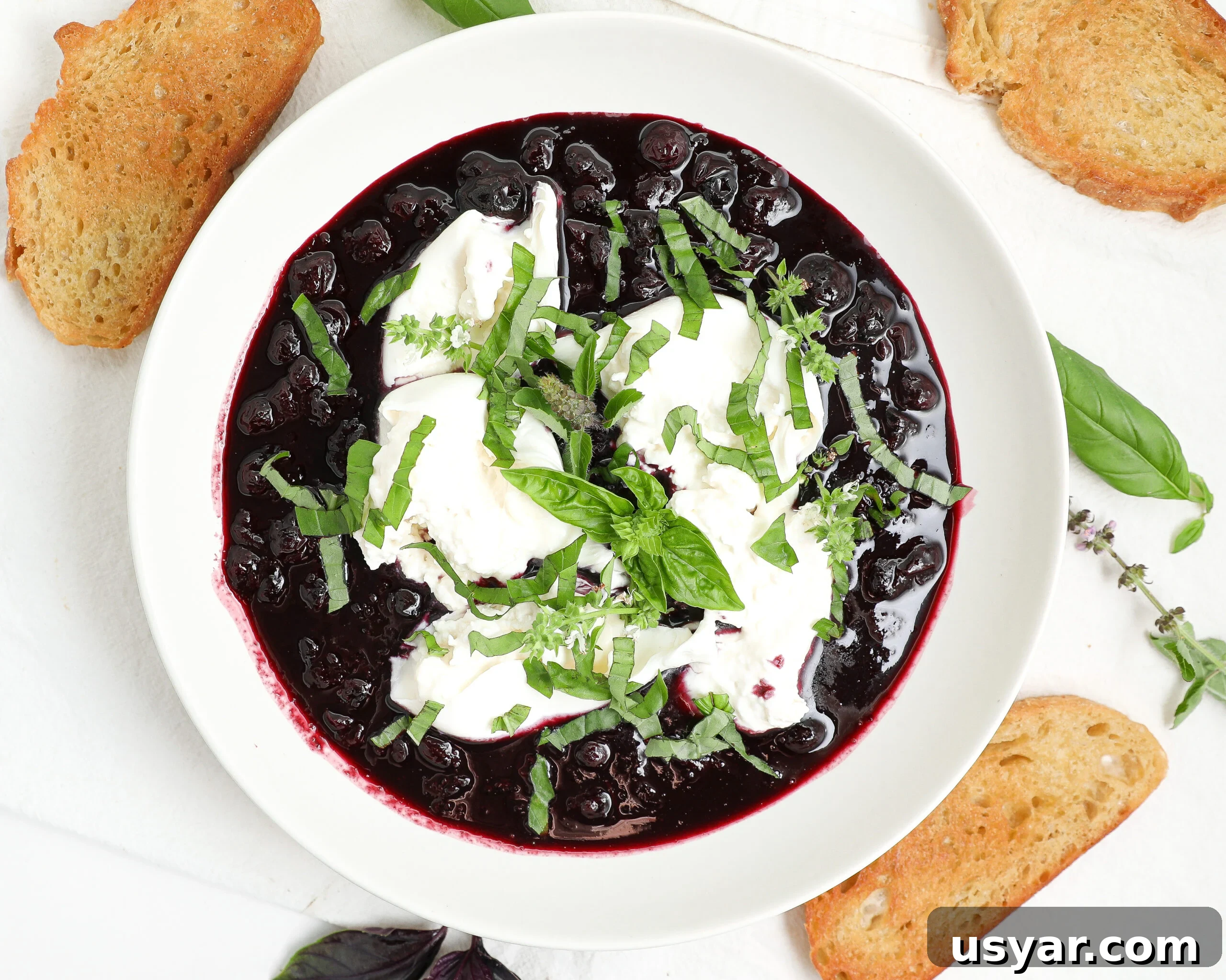 Blueberry burrata bruschetta with balsamic blueberries, basil, and toasted crostini.