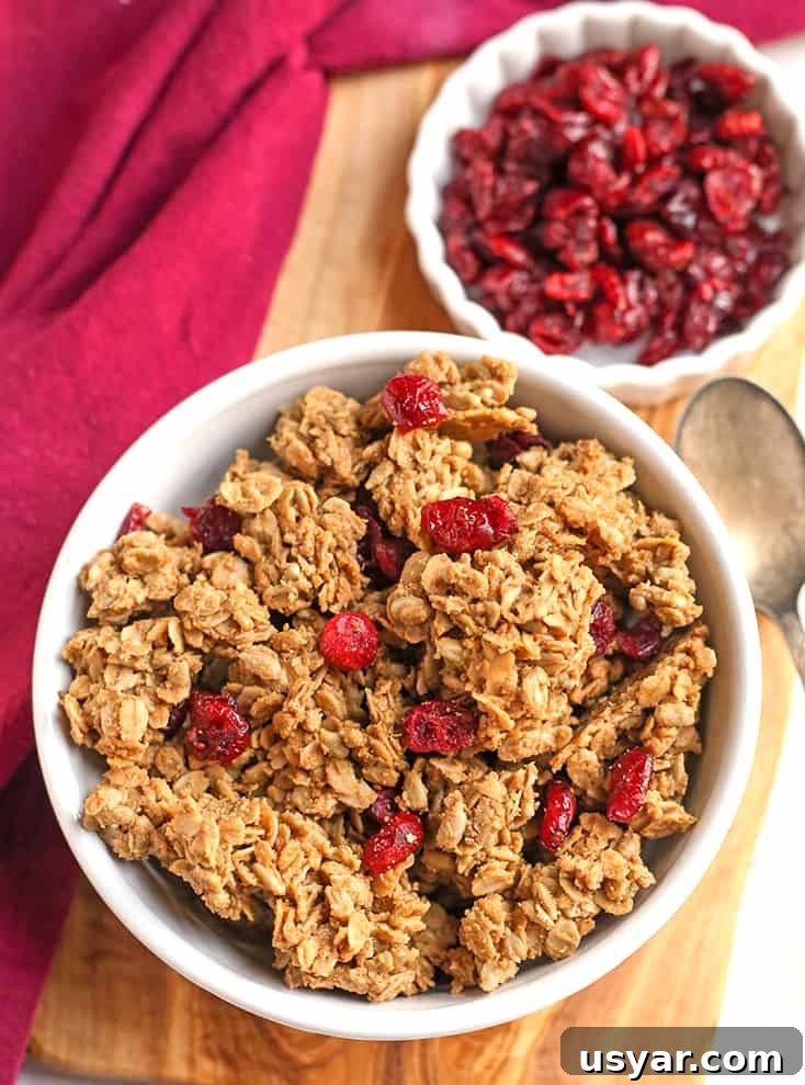 Gluten-Free Granola with Large Clusters 2 bowl of gluten free granola