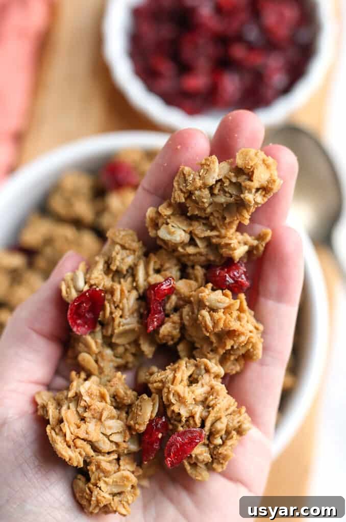 Gluten-Free Granola with Large Clusters 3 hand holding gluten free nut free granola