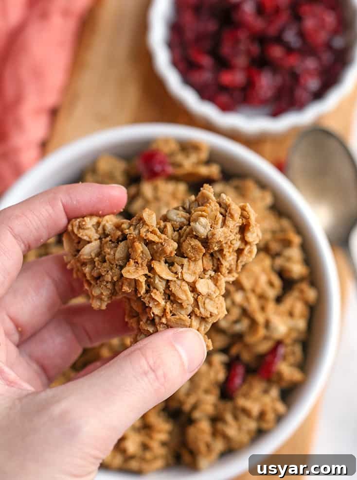 Gluten-Free Granola with Large Clusters 5 hand holding a gluten free granola cluster